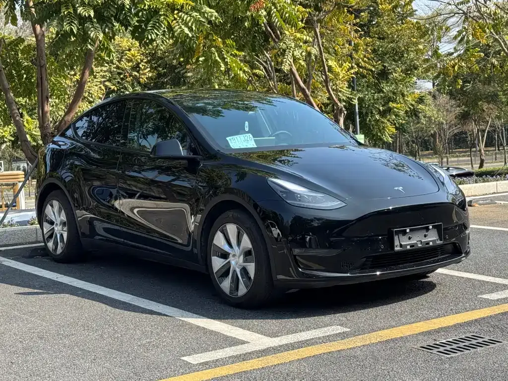 Tesla Model Y 2023 из CN, фото 7