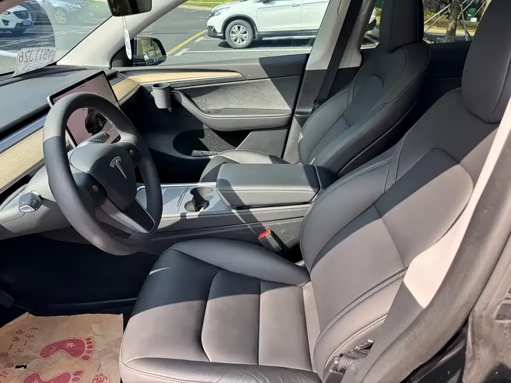 Tesla Model Y 2023 из CN, фото 4