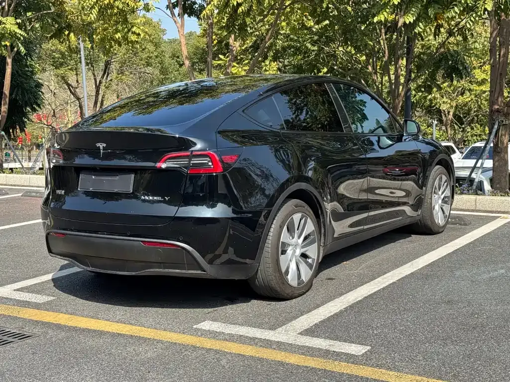 Tesla Model Y 2023 из CN, фото 8