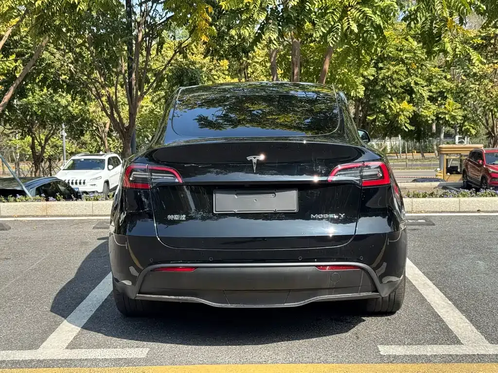 Tesla Model Y 2023 из CN, фото 9