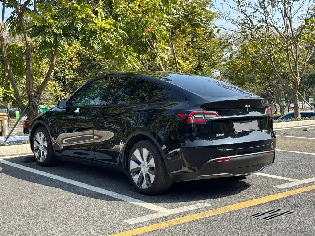 Tesla Model Y 2023 из CN, фото 6