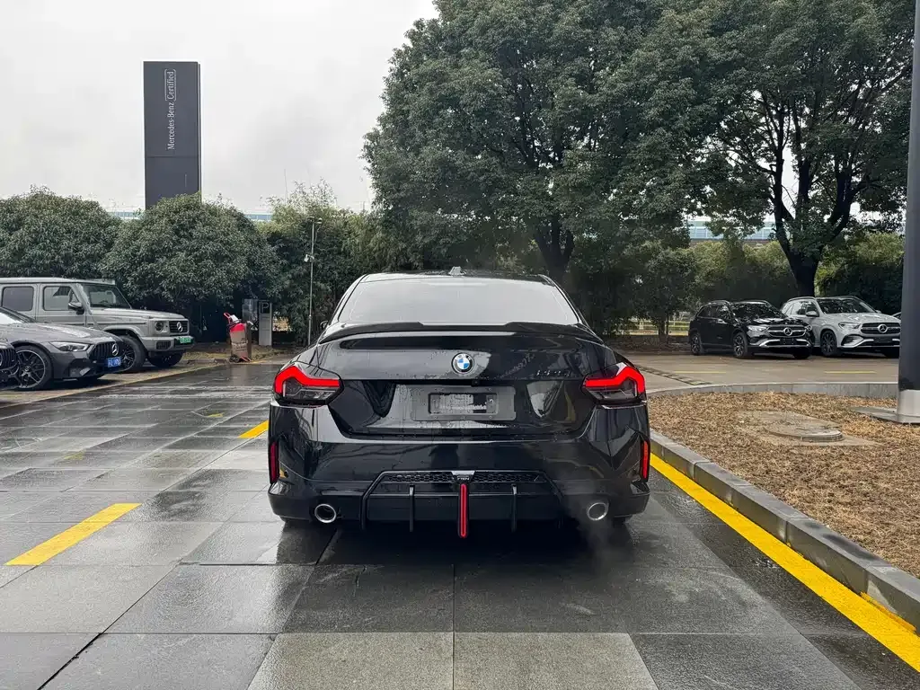 BMW 2 Series (Import) 2024 из CN, фото 10