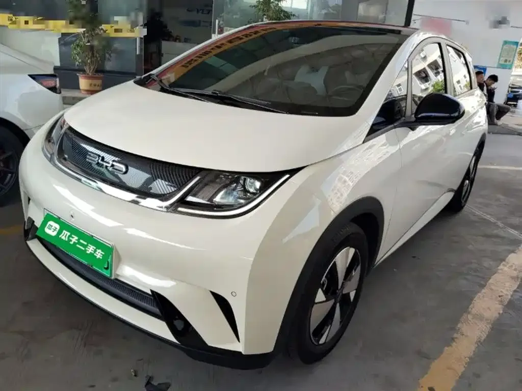 BYD Dolphin 2023 из CN, фото 8