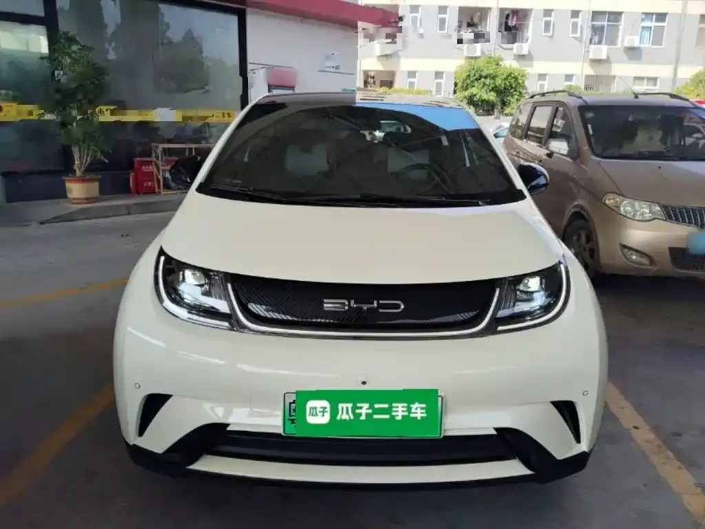 BYD Dolphin 2023 из CN, фото 2