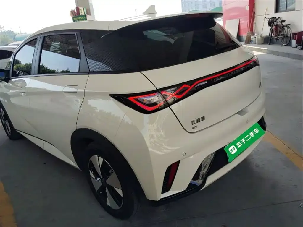 BYD Dolphin 2023 из CN, фото 3