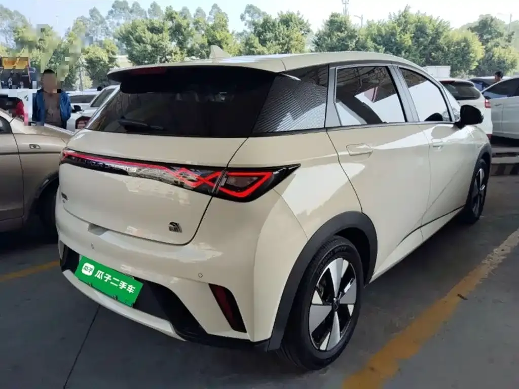 BYD Dolphin 2023 из CN, фото 10