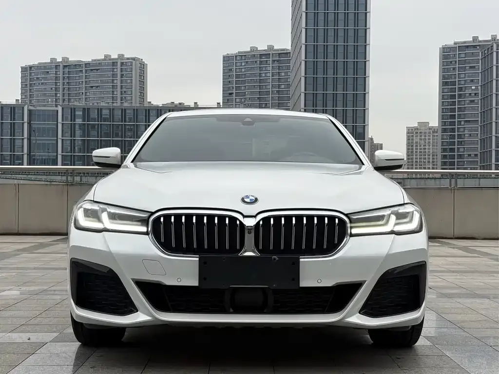 BMW 5 Series 2021 из CN, фото 1