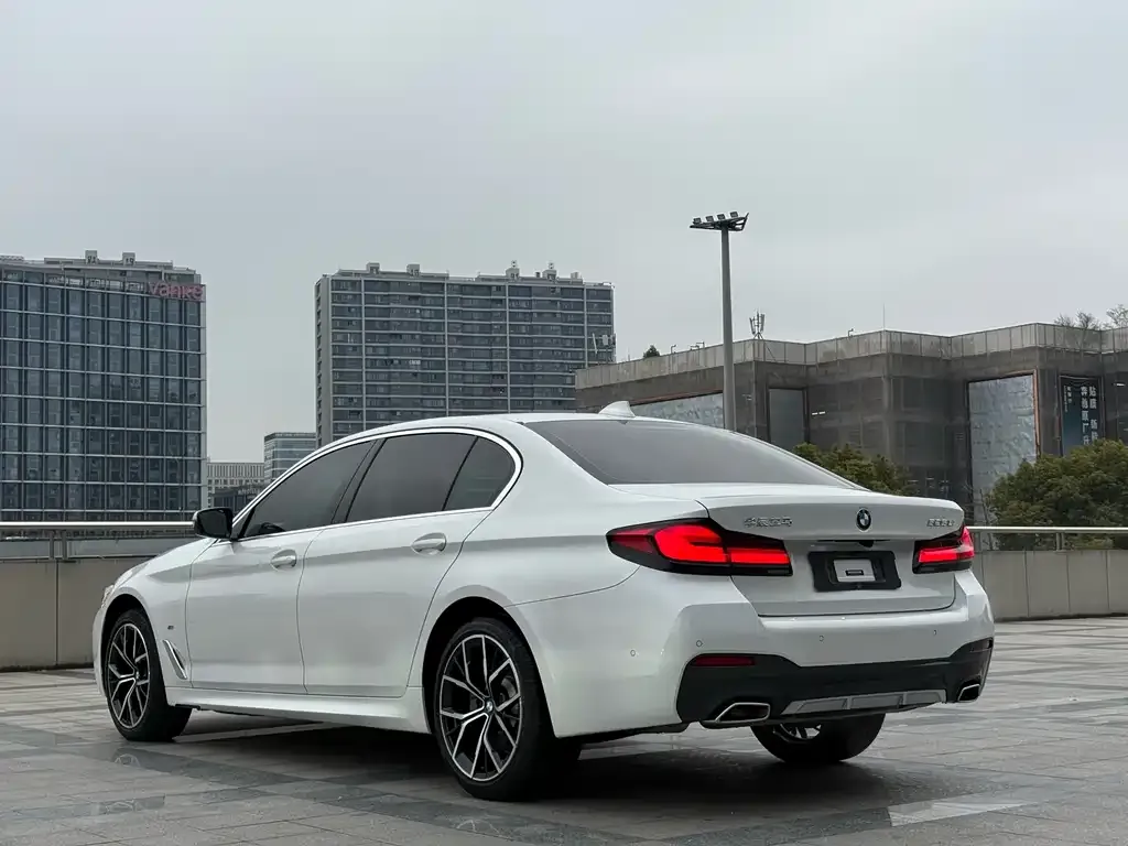 BMW 5 Series 2021 из CN, фото 10