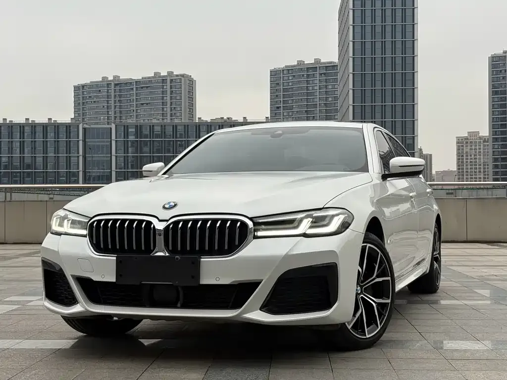 BMW 5 Series 2021 из CN, фото 7