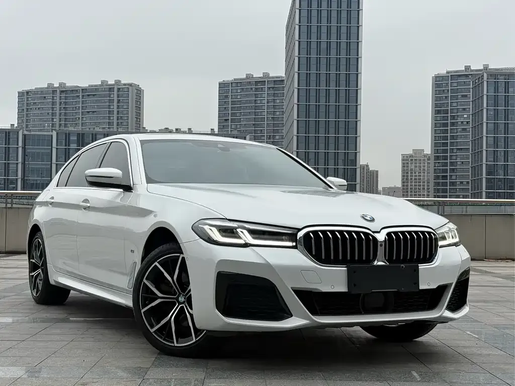BMW 5 Series 2021 из CN, фото 8