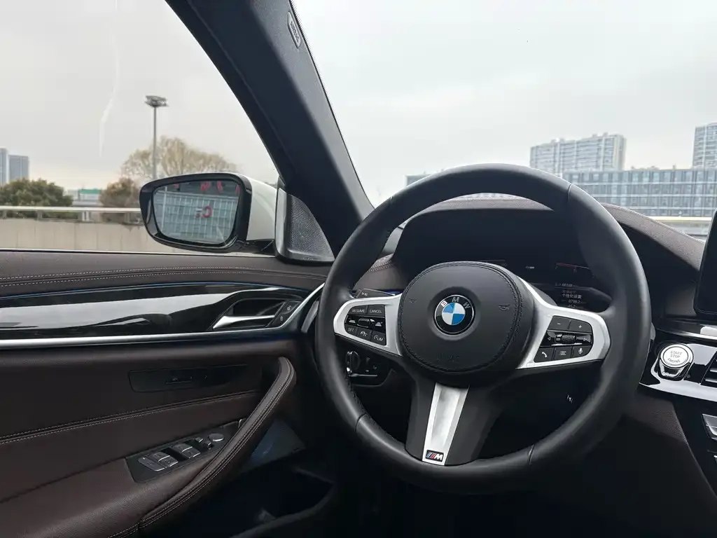BMW 5 Series 2021 из CN, фото 3