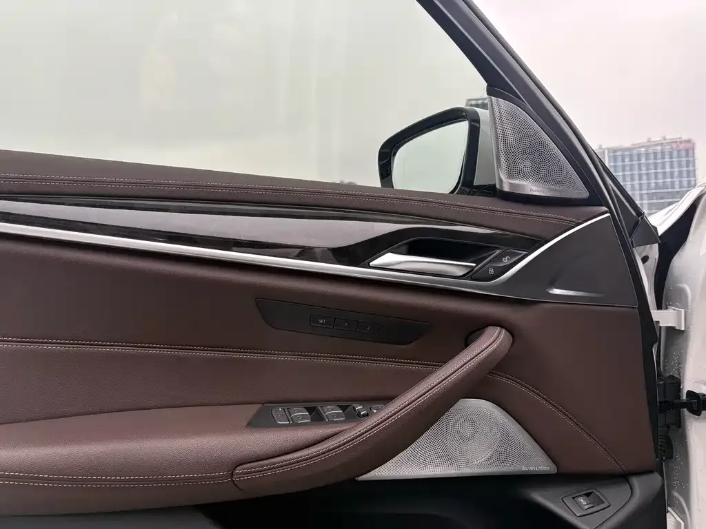 BMW 5 Series 2021 из CN, фото 4