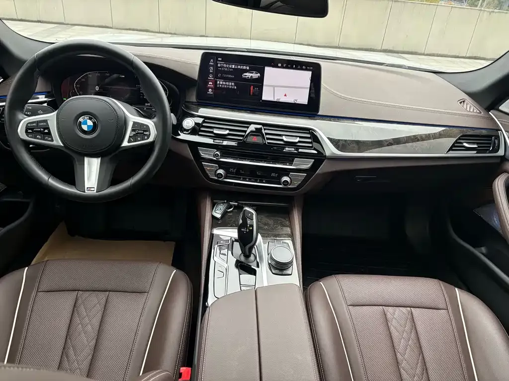 BMW 5 Series 2021 из CN, фото 6