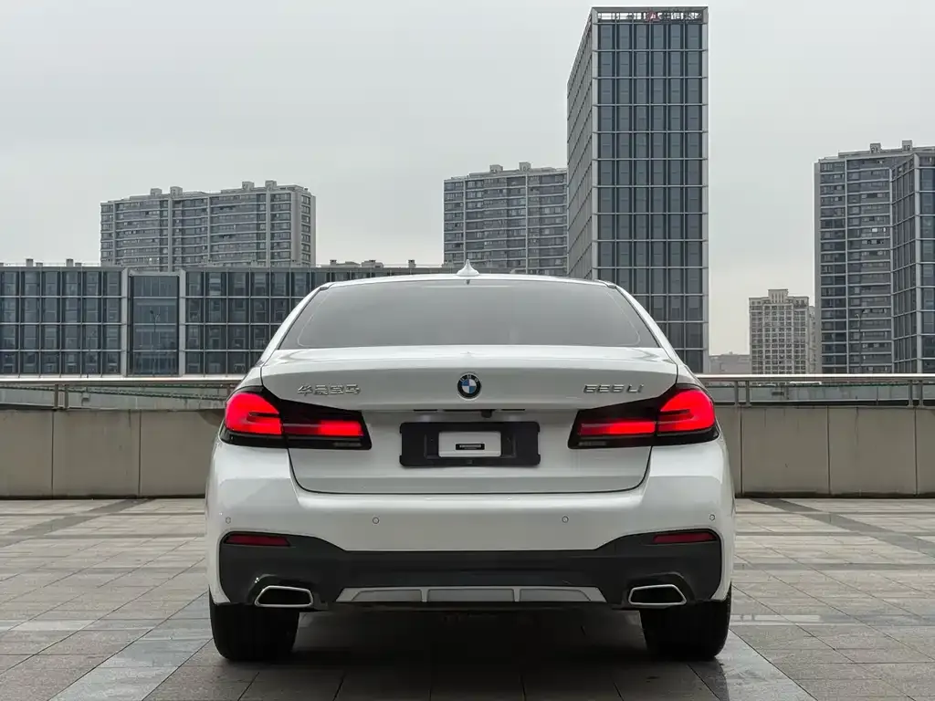 BMW 5 Series 2021 из CN, фото 2