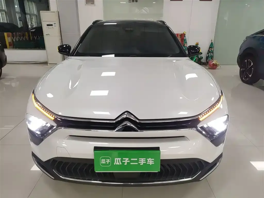 Citroen C5 X 2023 из CN, фото 10