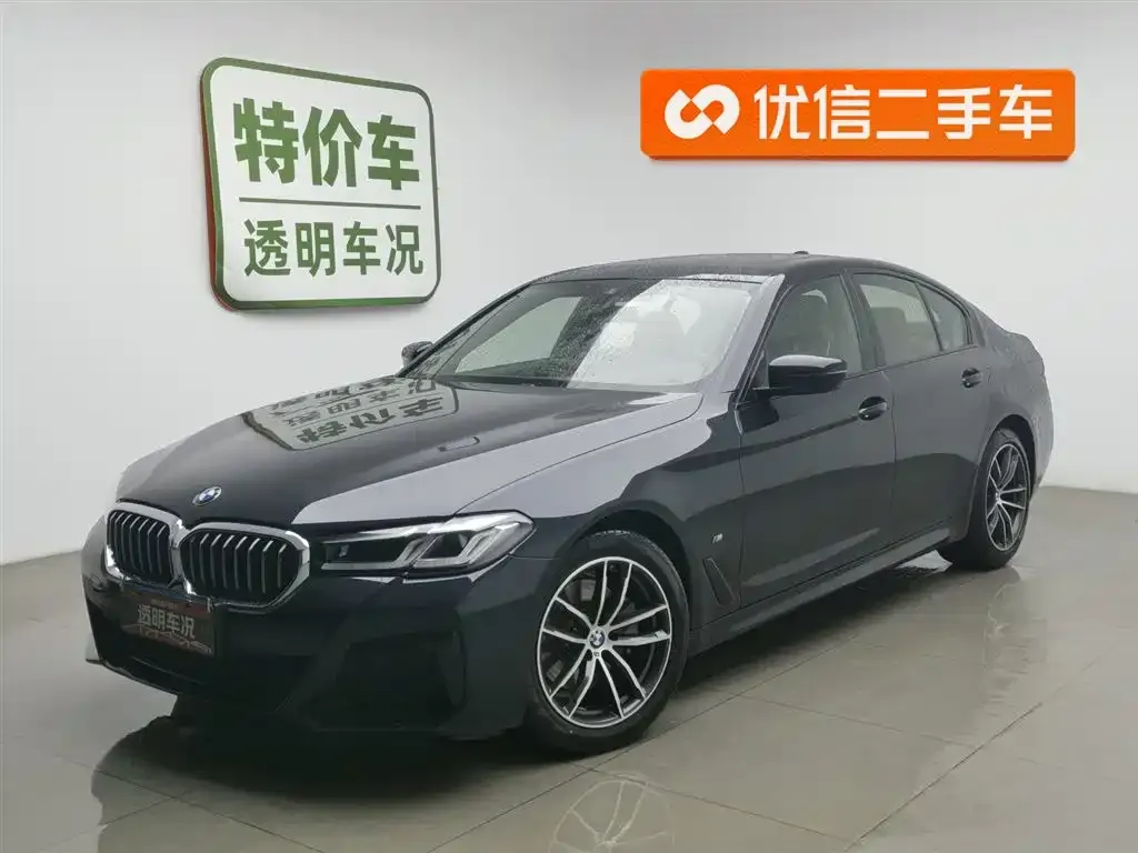 BMW 5 Series (Import) 2022 из CN, фото 1