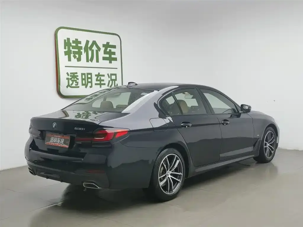 BMW 5 Series (Import) 2022 из CN, фото 3