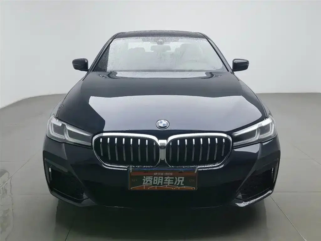 BMW 5 Series (Import) 2022 из CN, фото 6
