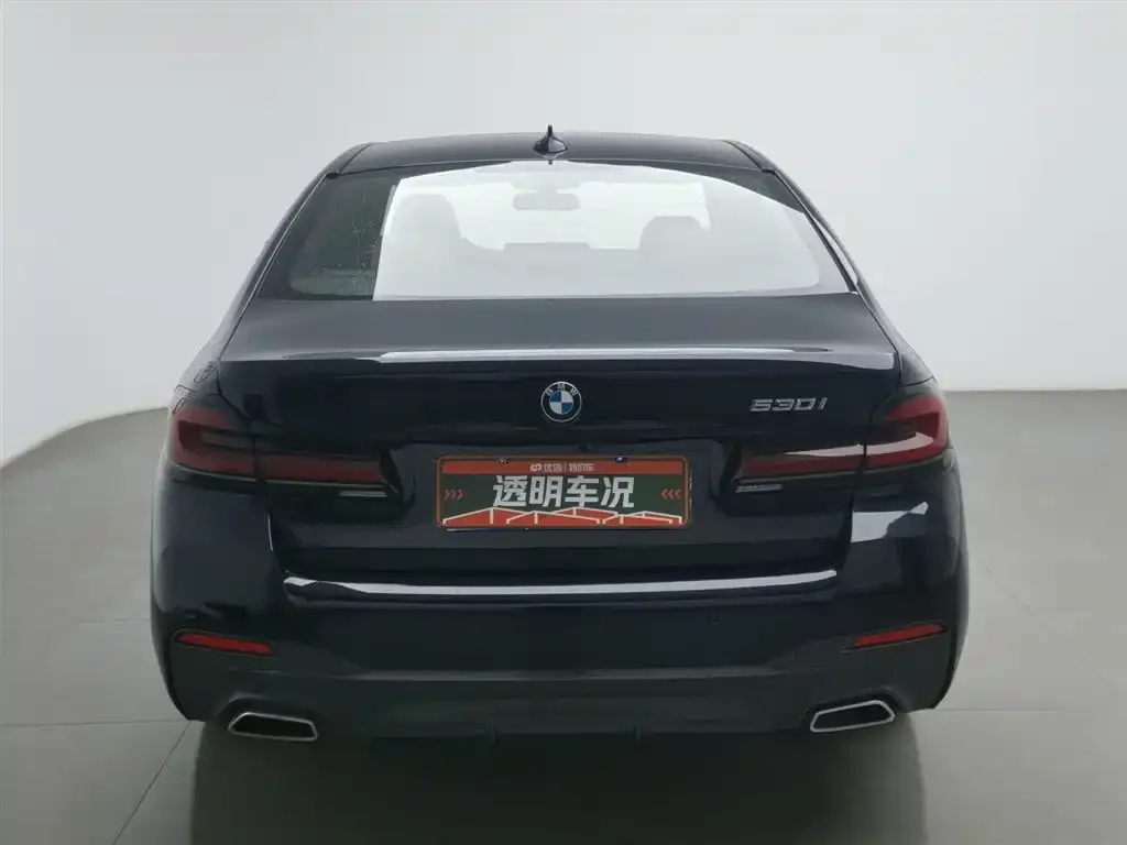 BMW 5 Series (Import) 2022 из CN, фото 2