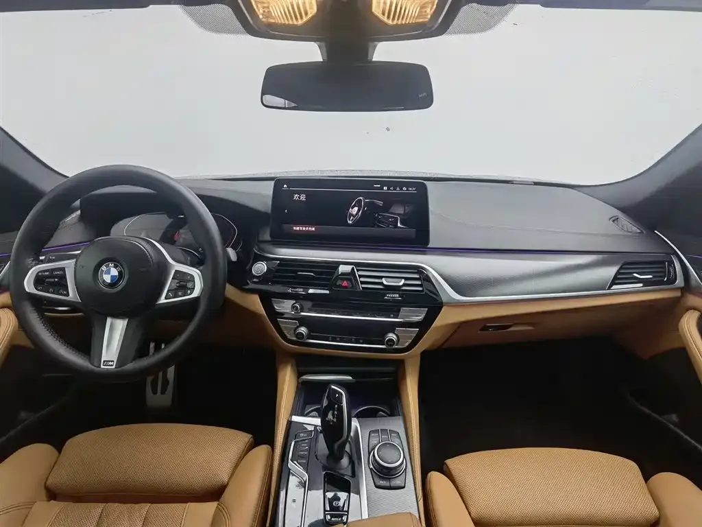 BMW 5 Series (Import) 2022 из CN, фото 7