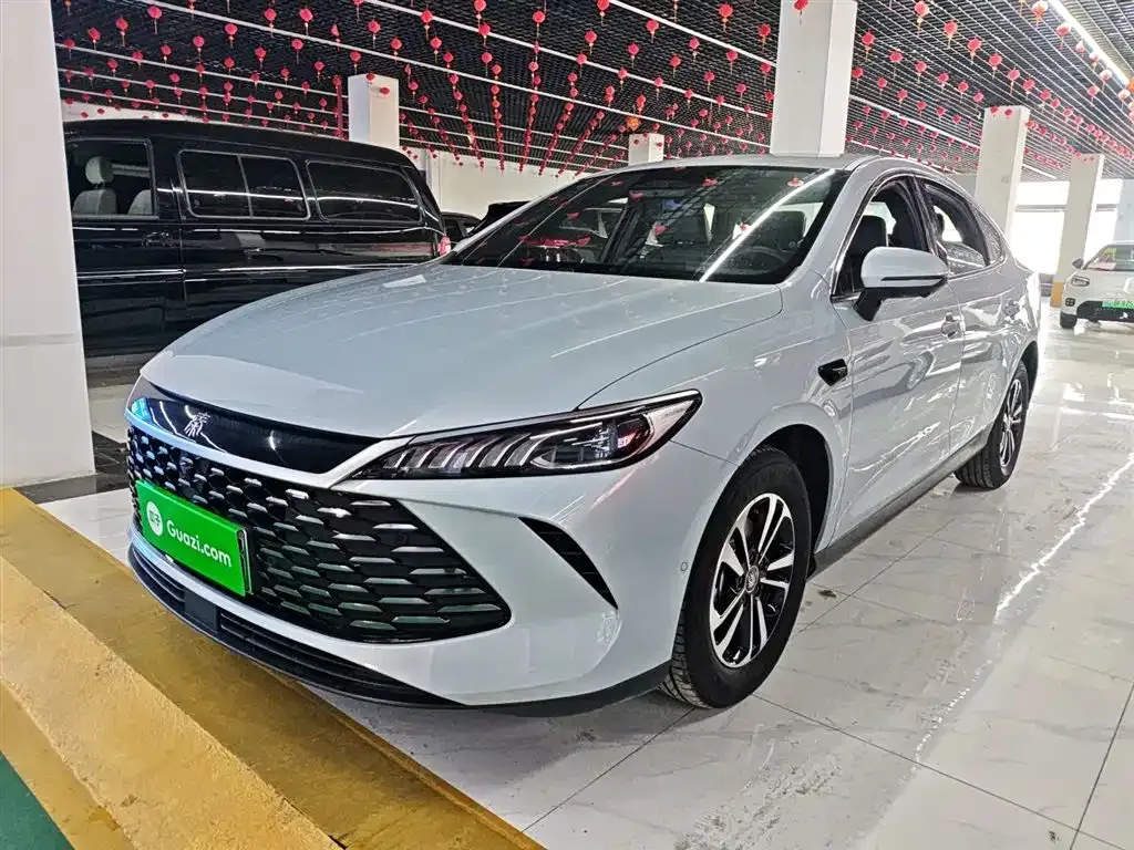 BYD Qin PLUS — фото 1
