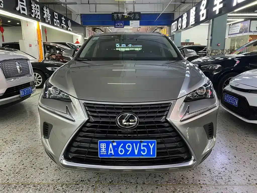 Lexus NX 2021 из CN, фото 9
