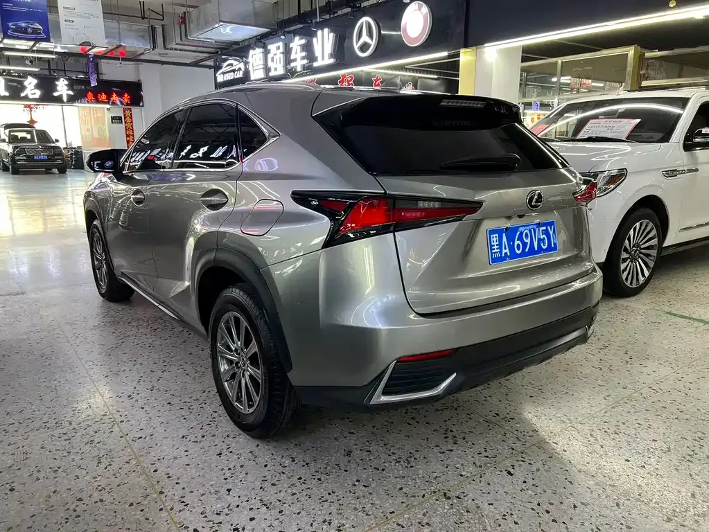 Lexus NX 2021 из CN, фото 10