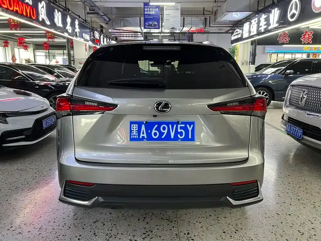 Lexus NX 2021 из CN, фото 7