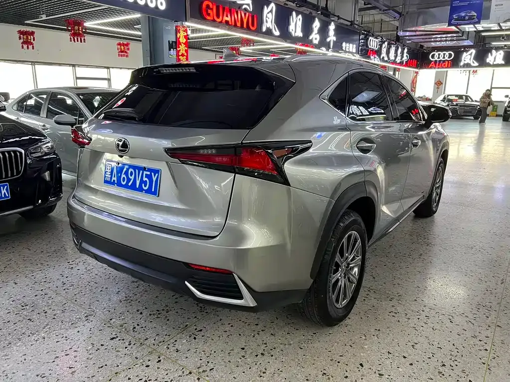 Lexus NX 2021 из CN, фото 6
