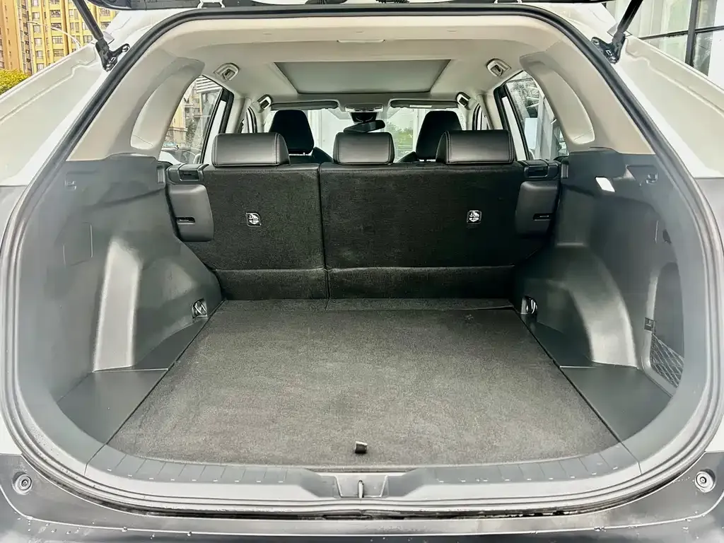 Toyota Wildlander 2023 из CN, фото 7