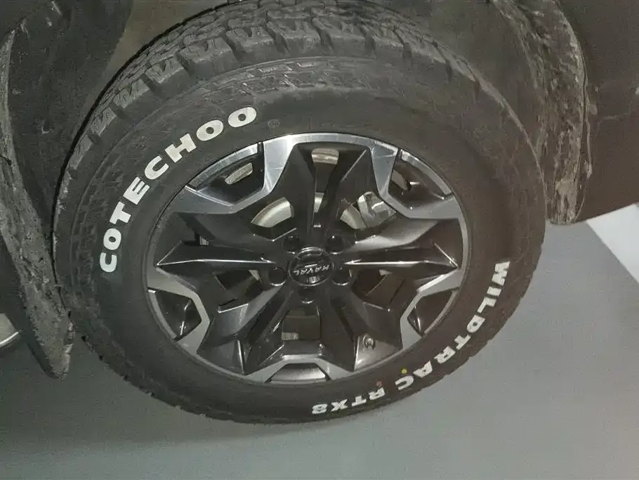 Haval Big Dog 2022 из CN, фото 4