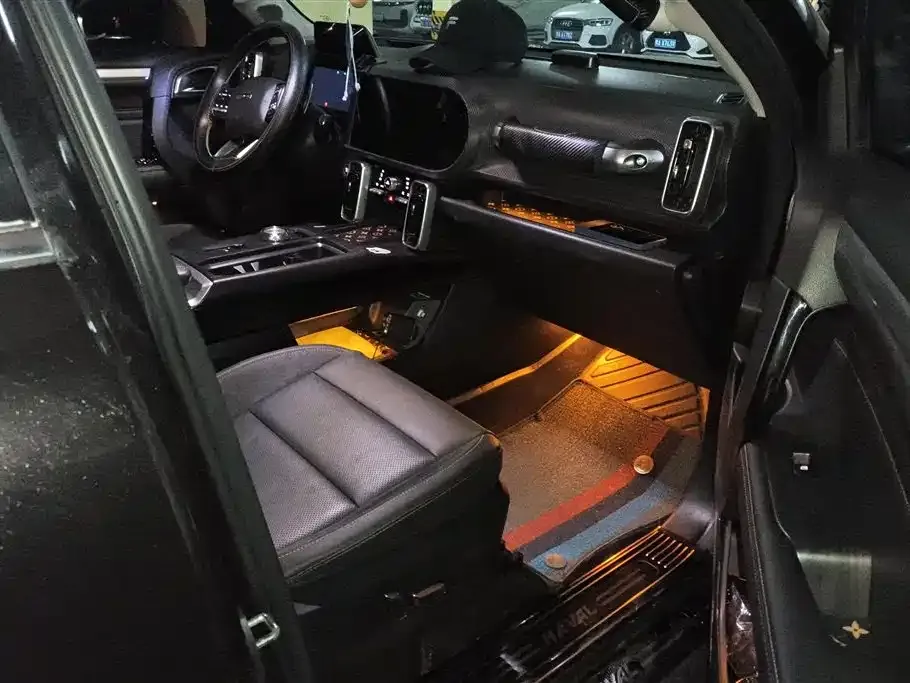 Haval Big Dog 2022 из CN, фото 9