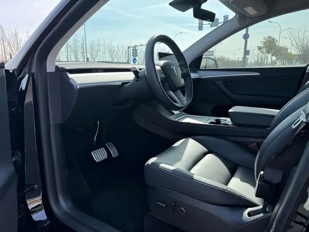 Tesla Model Y 2023 из CN, фото 9