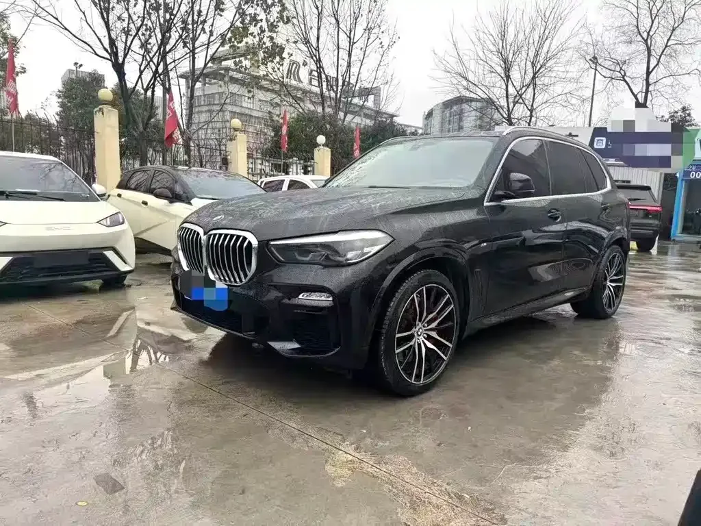 BMW X5 (Import) 2021 из CN, фото 1