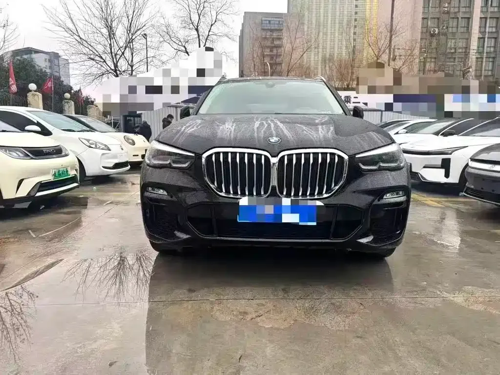 BMW X5 (Import) 2021 из CN, фото 2