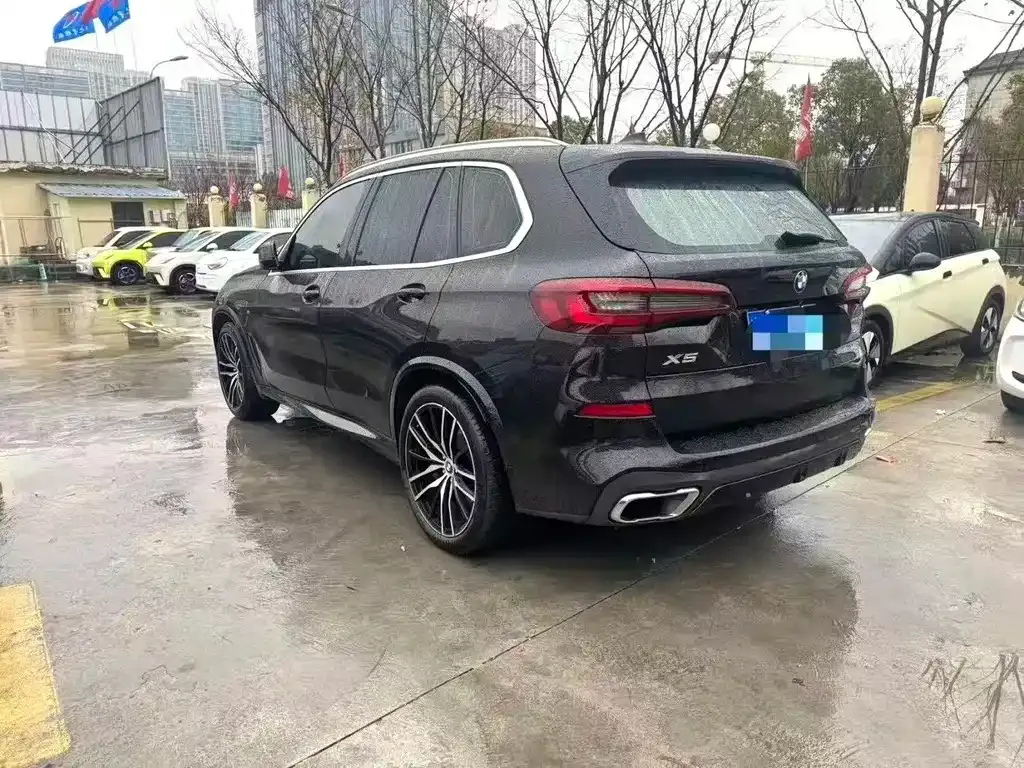 BMW X5 (Import) 2021 из CN, фото 9