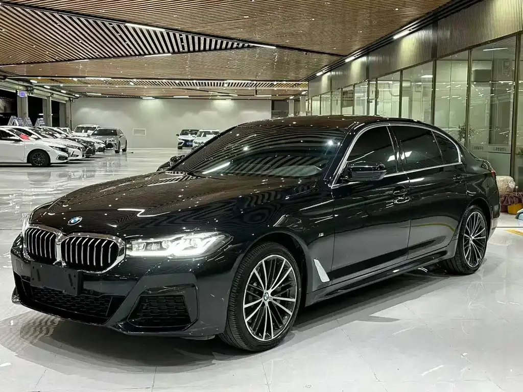 BMW 5 Series 2022 из CN, фото 1