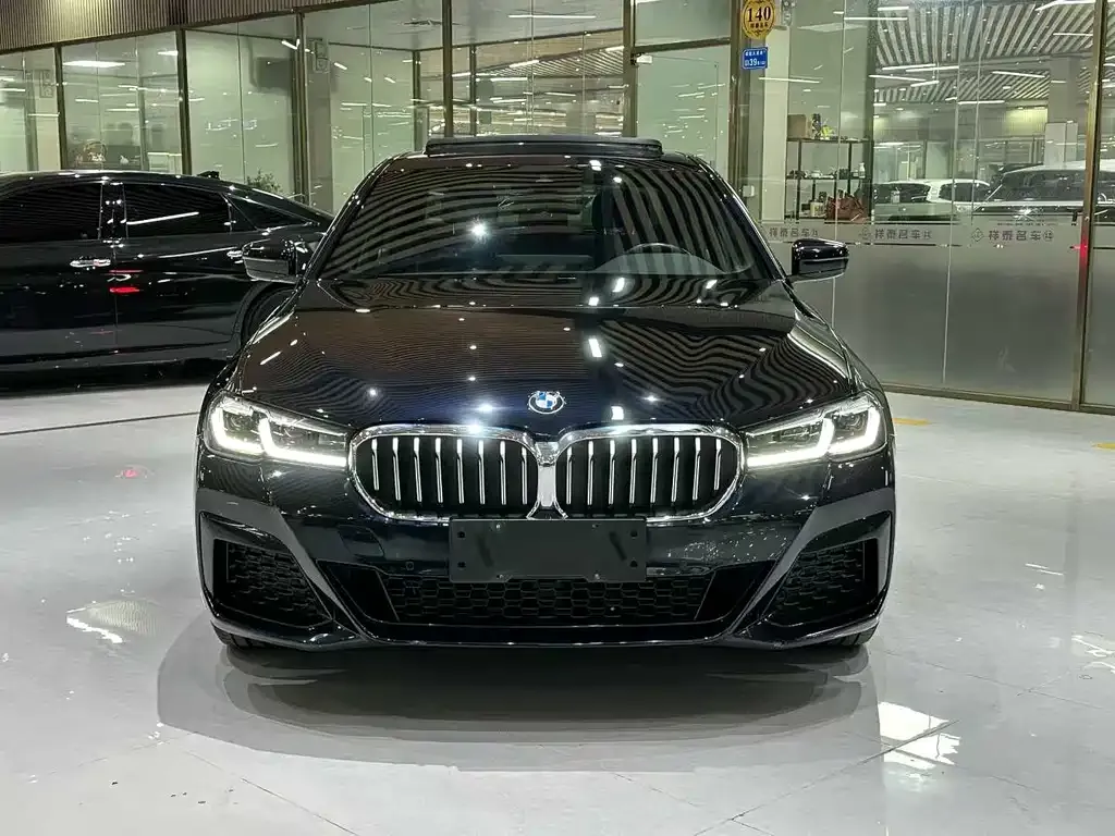 BMW 5 Series 2022 из CN, фото 5