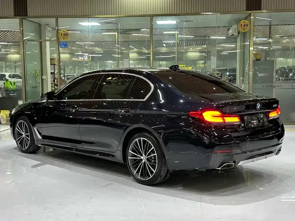 BMW 5 Series 2022 из CN, фото 3