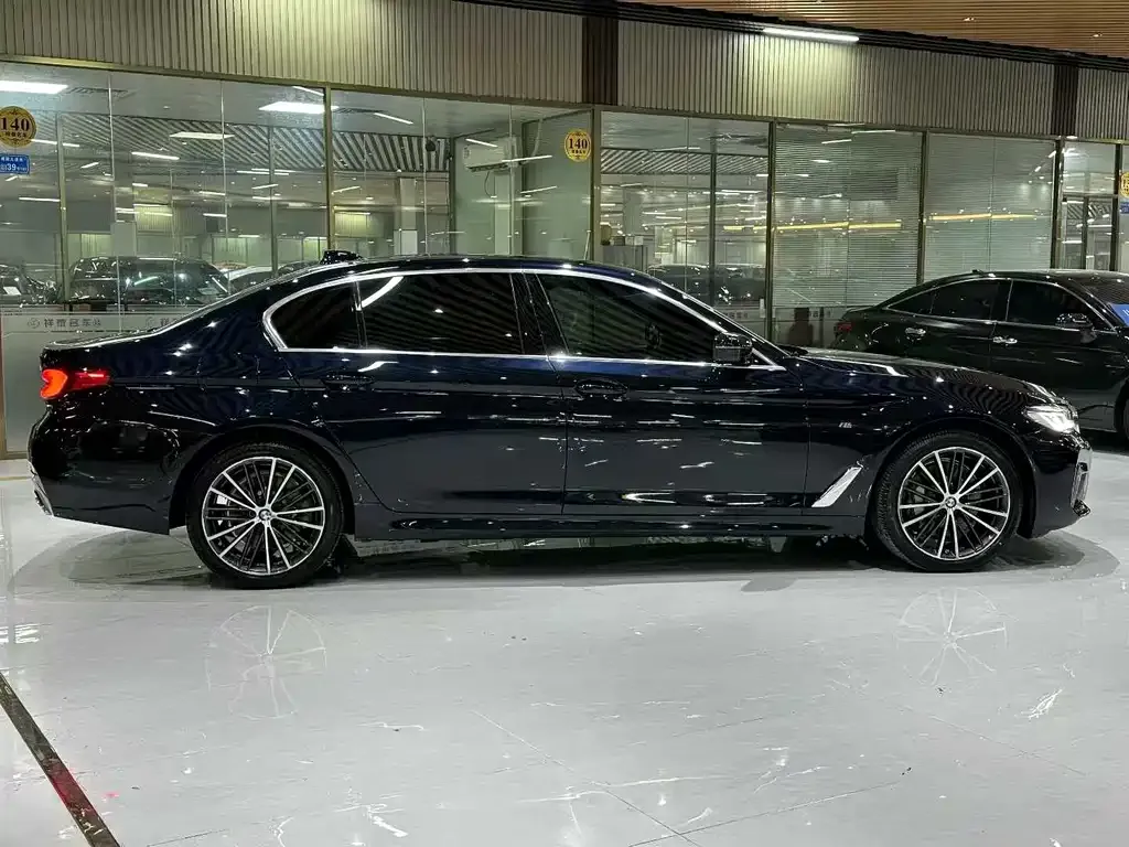 BMW 5 Series 2022 из CN, фото 4