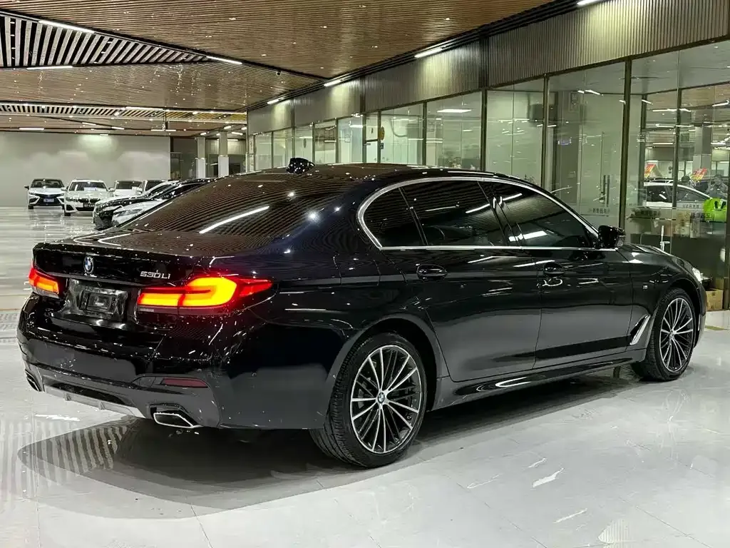 BMW 5 Series 2022 из CN, фото 6