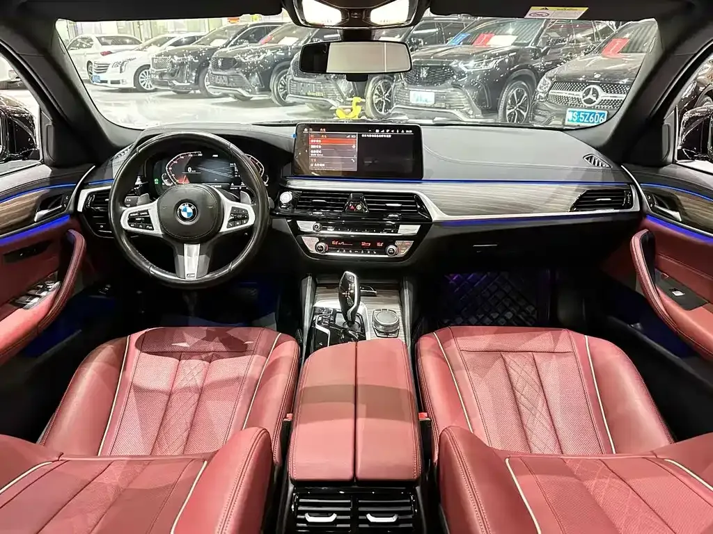 BMW 5 Series 2022 из CN, фото 7