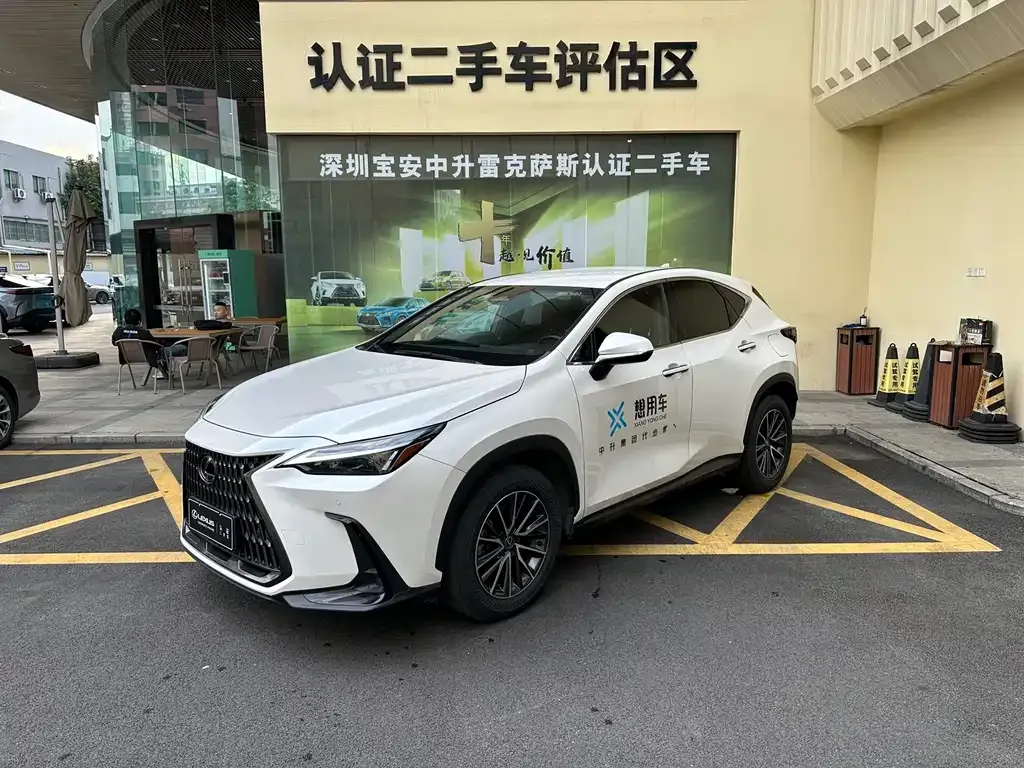 Lexus NX 2023 из CN, фото 1
