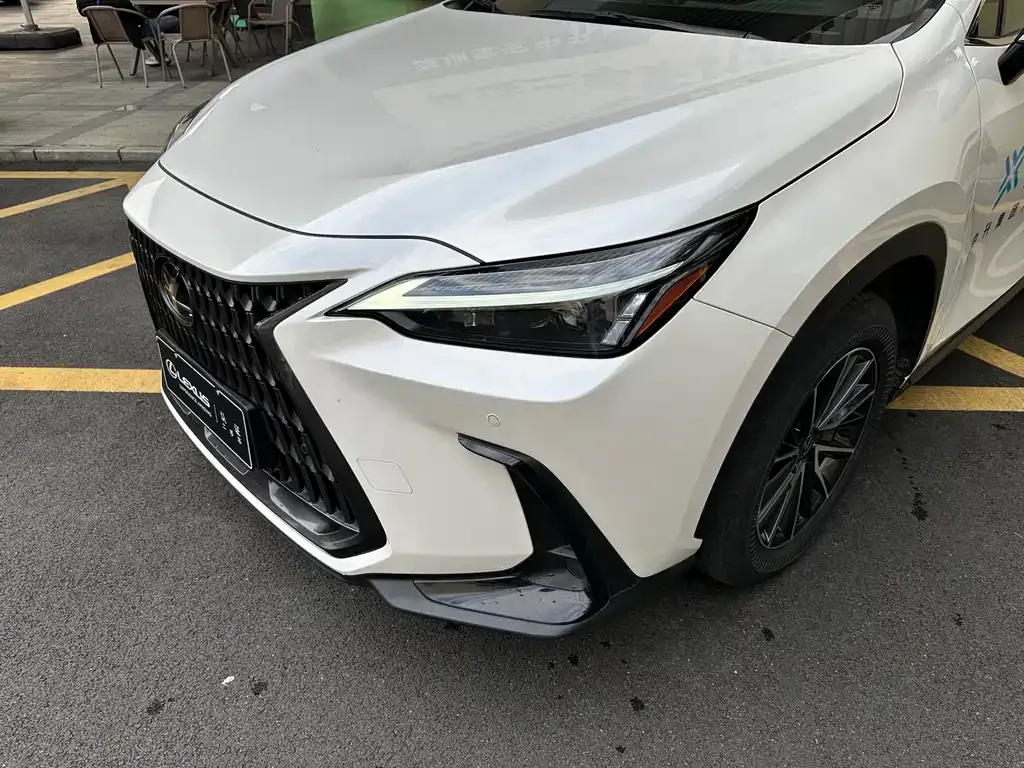Lexus NX 2023 из CN, фото 4