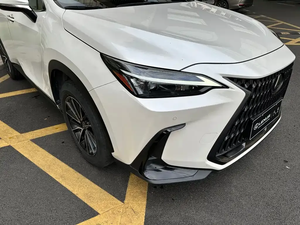 Lexus NX 2023 из CN, фото 7
