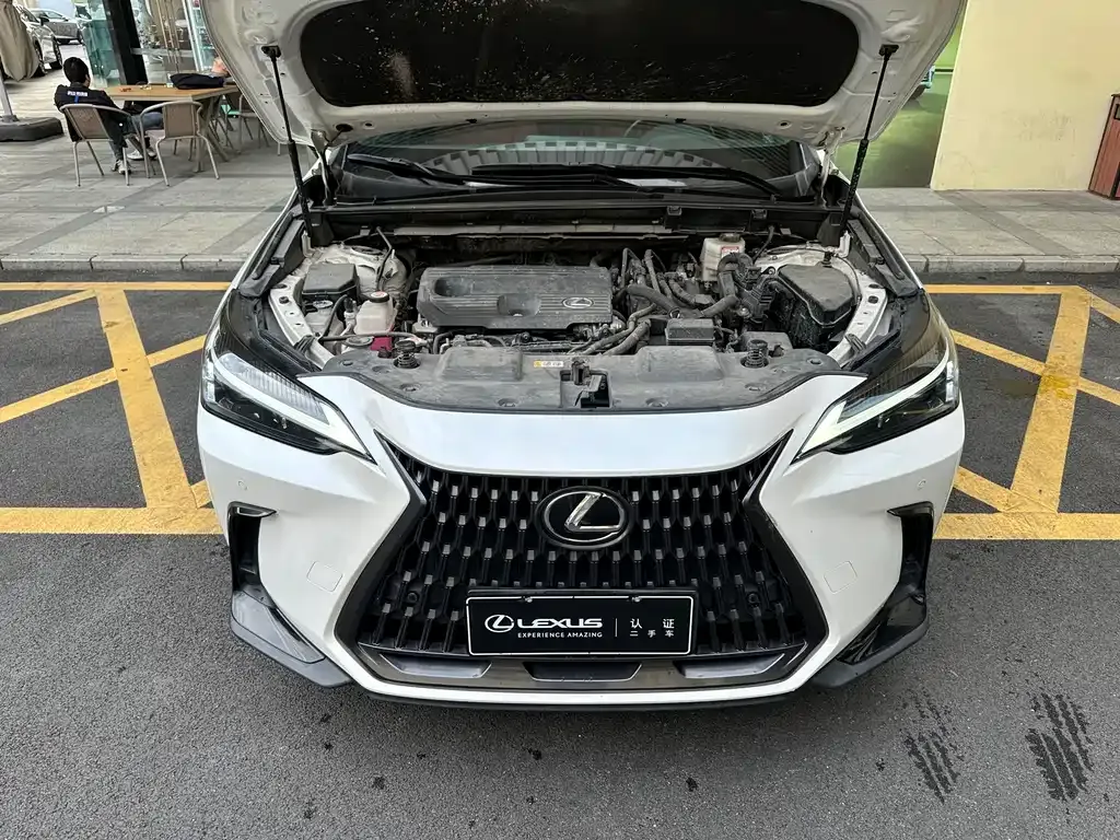 Lexus NX 2023 из CN, фото 10
