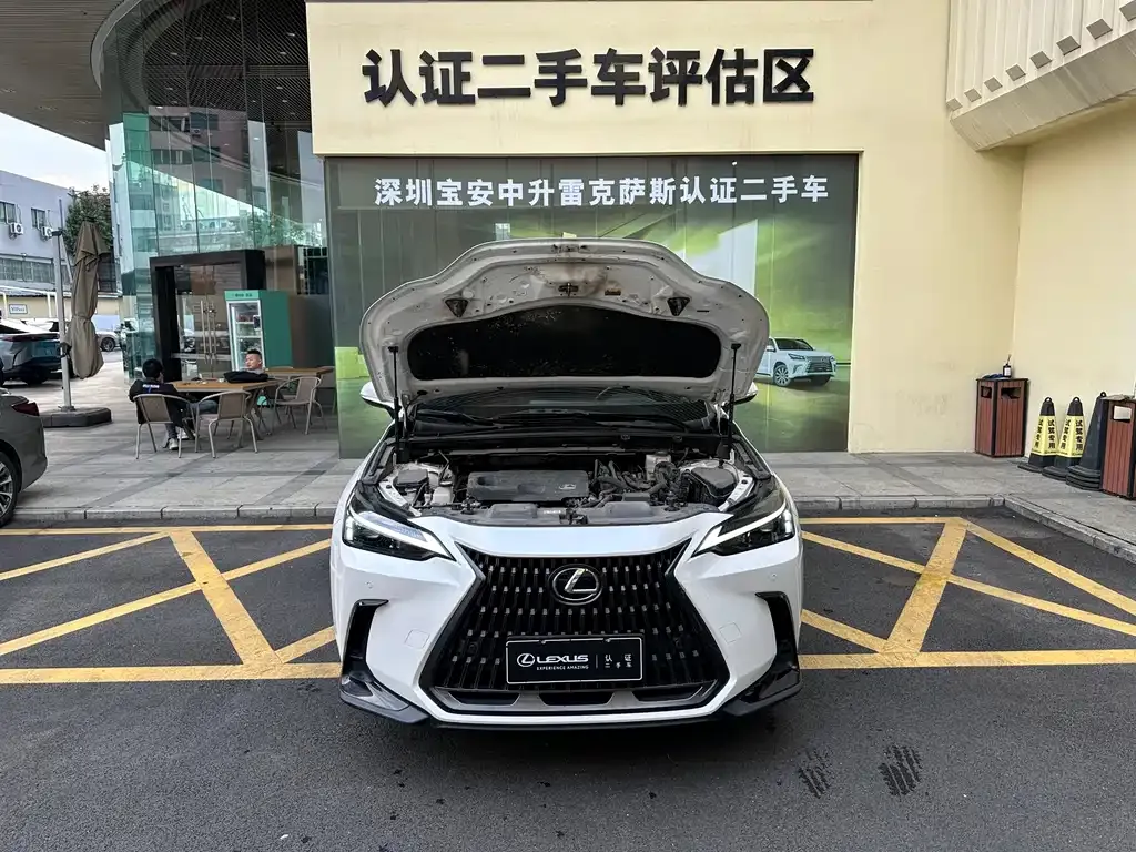 Lexus NX 2023 из CN, фото 9