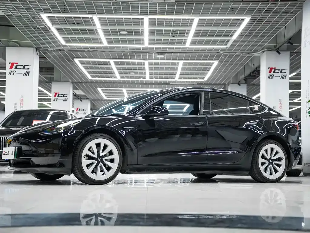 Tesla Model 3 2021 из CN, фото 1
