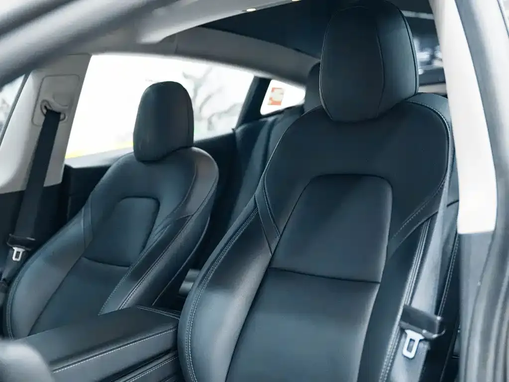 Tesla Model 3 2021 из CN, фото 4