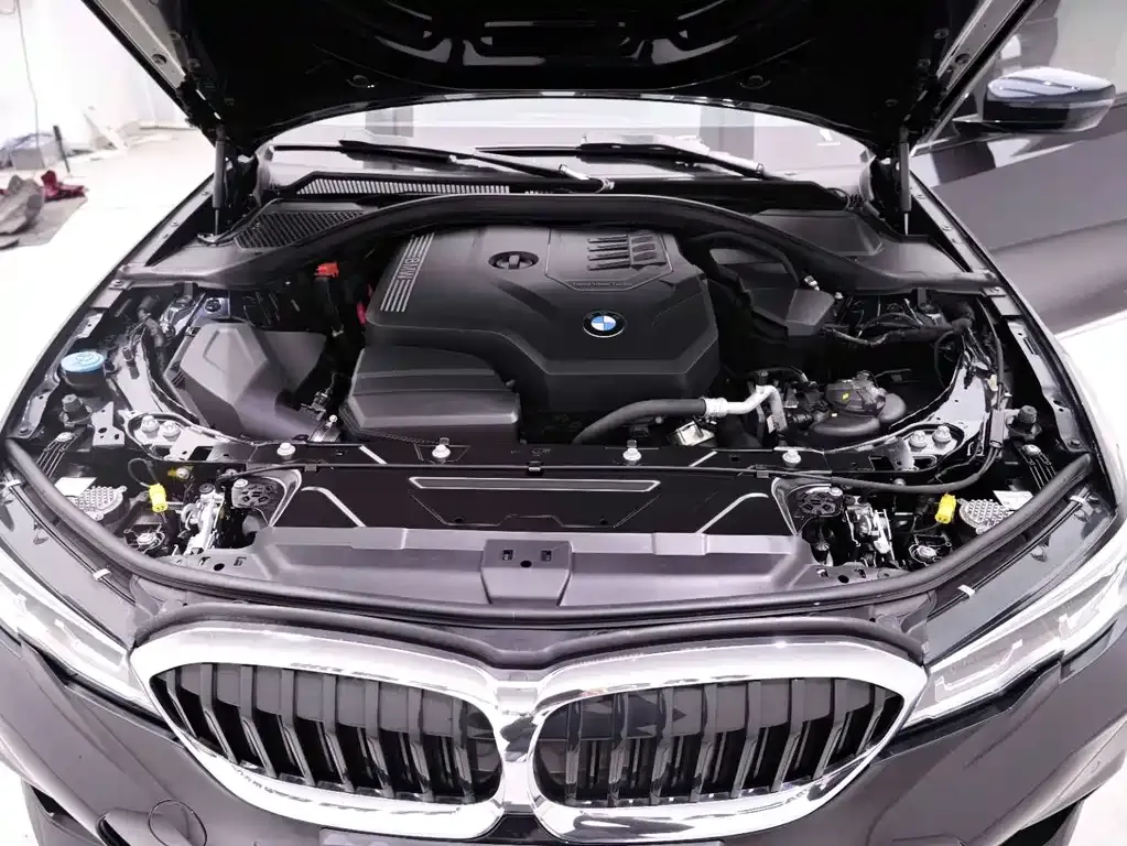 BMW 3 Series 2022 из CN, фото 8